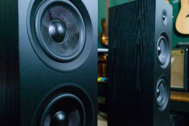 Woofers in the Fluance Ai81