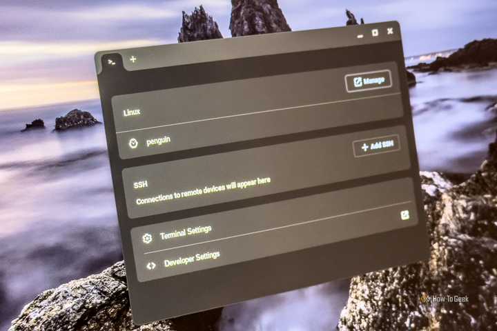The Linux terminal session window open on a Chromebook.