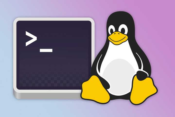 Tux the penguin with a Linux terminal.